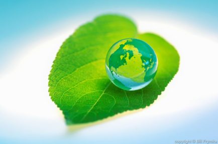 marble globe on green leaf Nature world ecosystem regeneration growth new