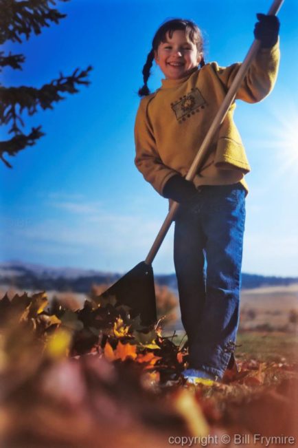 vertical of young girl raking leaves in autumn