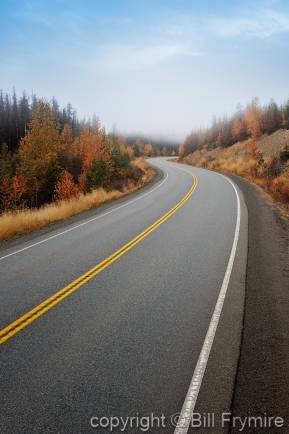 Curved road with morning mist.