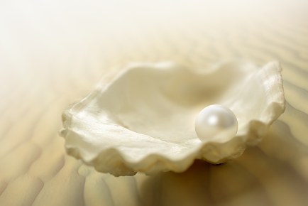 world globe in an oyster shell