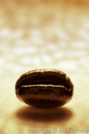 Single coffee bean
