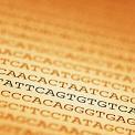 DNA code
