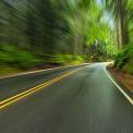 blurred view of road through forest